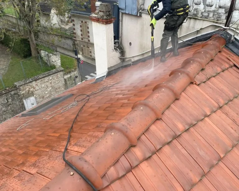 Démoussage adapté au matériau de couverture